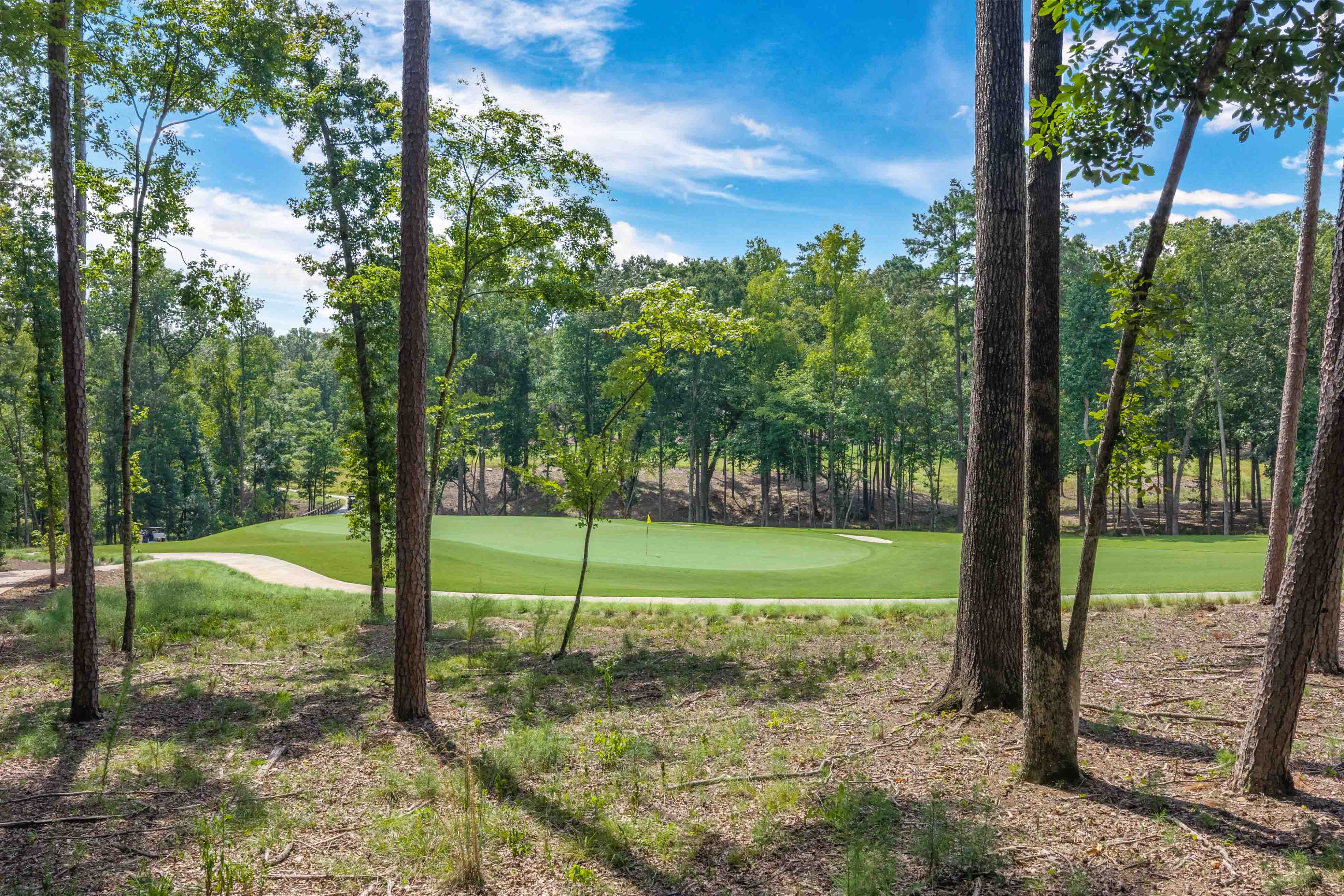 1131 Grove Ridge View image 12